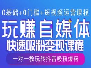 0基础+0门槛+短视频运营课程，玩赚自媒体快速吸粉变现课程，一对一教玩转抖音吸粉爆粉-吾藏分享