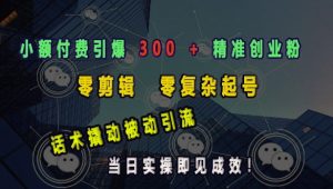 小额付费引爆 300 + 精准创业粉，零剪辑、零复杂起号，话术撬动被动引流，当日实操即见成效-吾藏分享