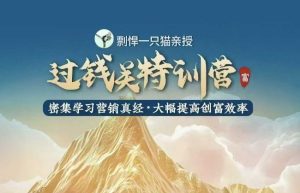 剽悍一只猫-过钱关特训营，学习营销真经 大幅度提高创富效率-吾藏分享