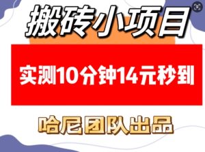 搬砖小项目，实测10分钟14元秒到，每天稳定几张(赠送必看稳定)-吾藏分享