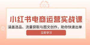 小红书变现运营实战课，涵盖选品、流量获取与图文创作，助你快速出单-吾藏分享