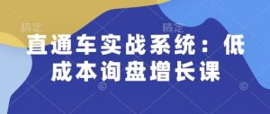 直通车实战系统：低成本询盘增长课，让个人通过技能实现升职加薪，让企业低成本获客，订单源源不断-吾藏分享