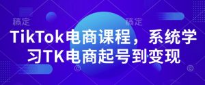 TikTok电商课程，​系统学习TK电商起号到变现-吾藏分享