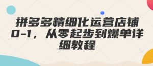 拼多多精细化运营店铺0-1，从零起步到爆单详细教程-吾藏分享